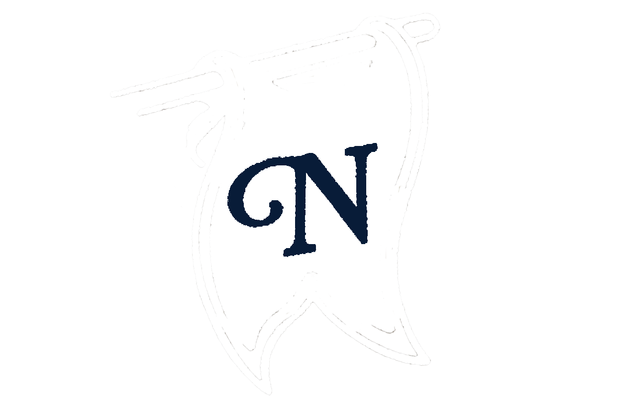 Nick Delgado  logo